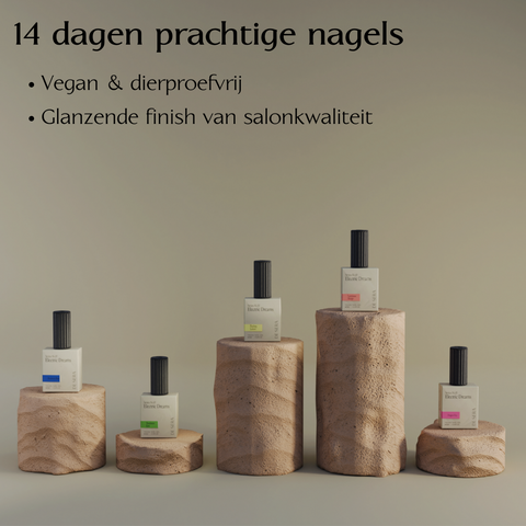 No. 10 Electric Dreams