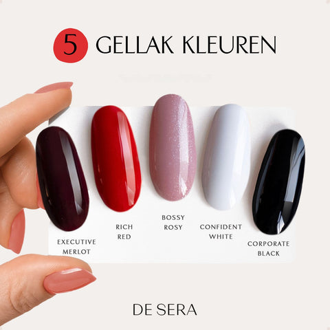 No. 4 Miss President