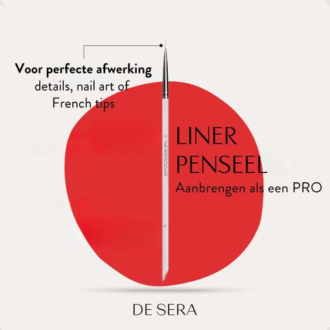 No. 4 Miss President